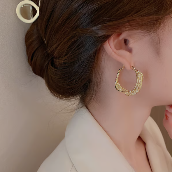 💕S925 Fashion Twist Earrings