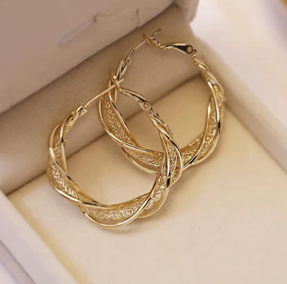 💕S925 Fashion Twist Earrings